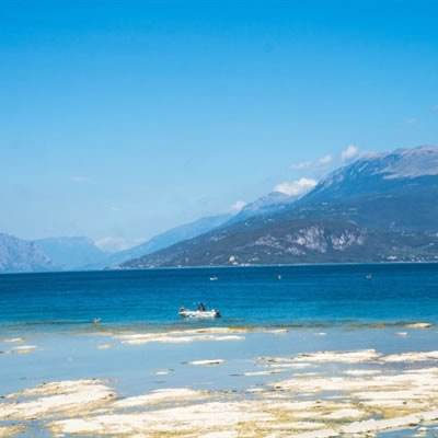 快三软件平台官方