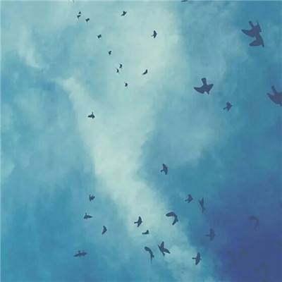 196体育软件下载