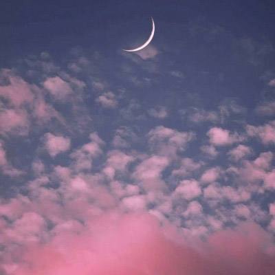 赛博体育app下载