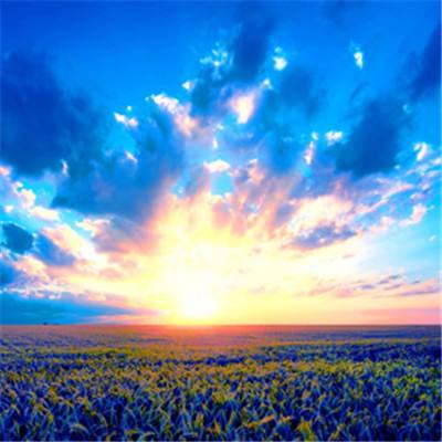 澳门黄金城截图