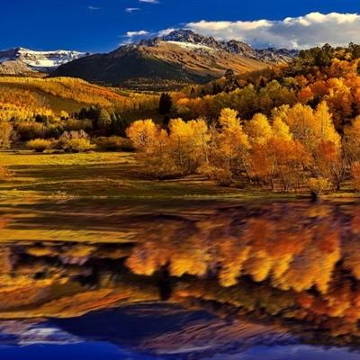 天空体育中文版