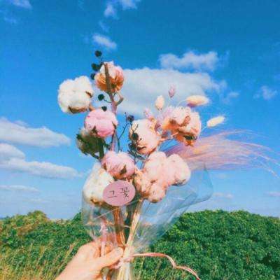 极速飞艇计划手机app下载