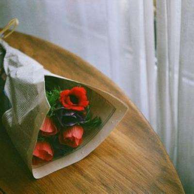 海星体育app下载